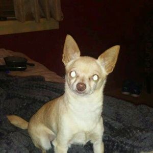 Meet your Posher, Bryan